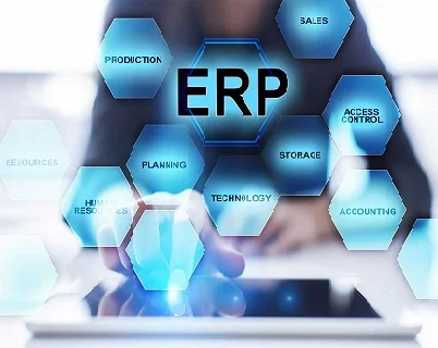 Portfolio ERP